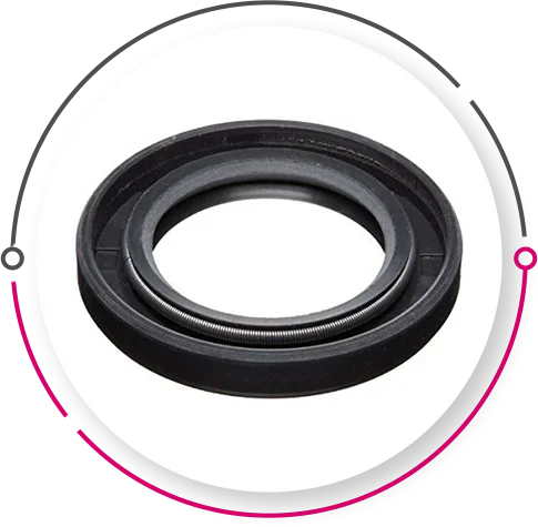 Spring Loaded Oil Seals